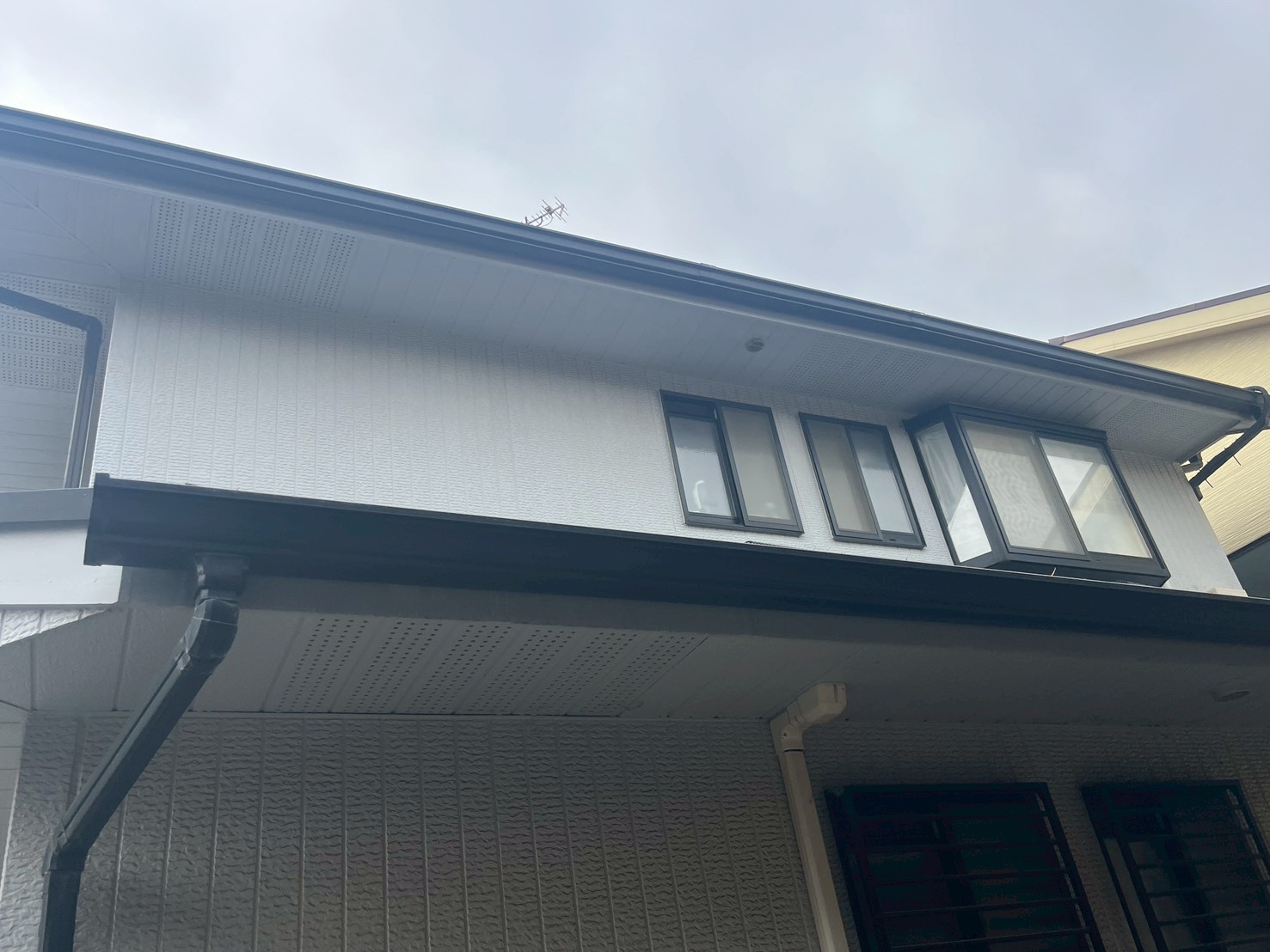 軒天の状態を確認中